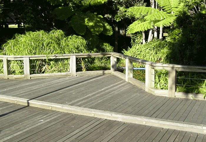 Nature Walkway 5